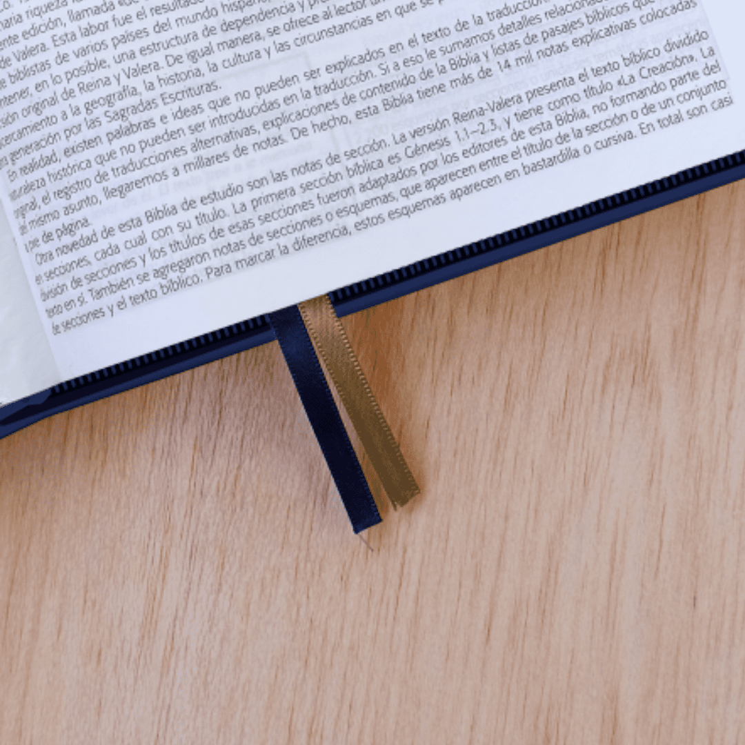 Biblia De Estudio Esquematizada Con Cierre Biblia De Estudio Esquematizada Con Cierre