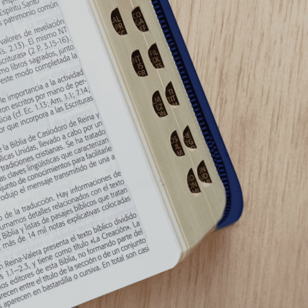 Biblia De Estudio Esquematizada Con Cierre Biblia De Estudio Esquematizada Con Cierre